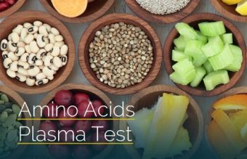 Amino Acids Plasma Test