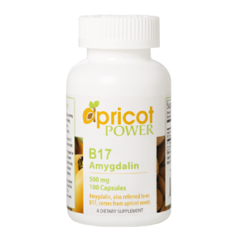 Apricot Power B17/Amygdalin 500mg Capsules (100 caps) by Apricot Power