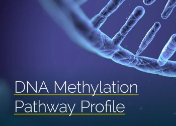 DNA Methylation Pathway Profile
