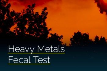 Metals Fecal Test