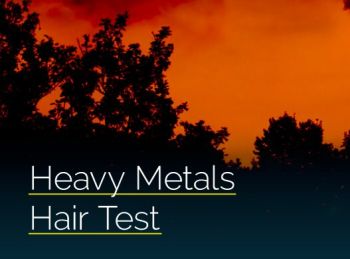 Metals Hair Test