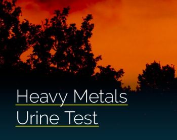 Heavy Metals Test – Urine (24 hr., Timed or Random)