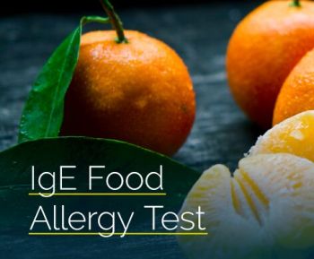 IgE Food Allergy Basic Test