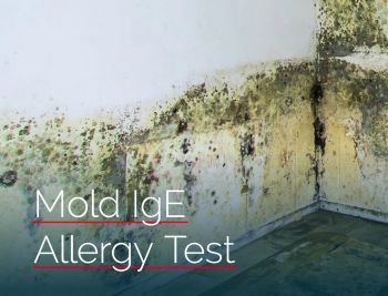 Mold IgE Allergy Test